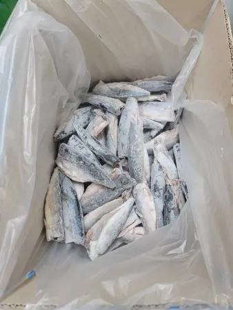 ⭐한정특가⭐고등어,할복(100~150g/미),냉동,1kg,구이용,내장제거,중국산 이미지