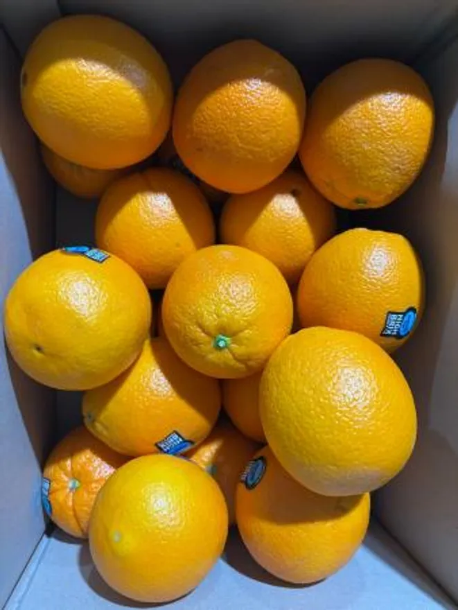 오렌지,220g(220~240g),상품,수입 이미지