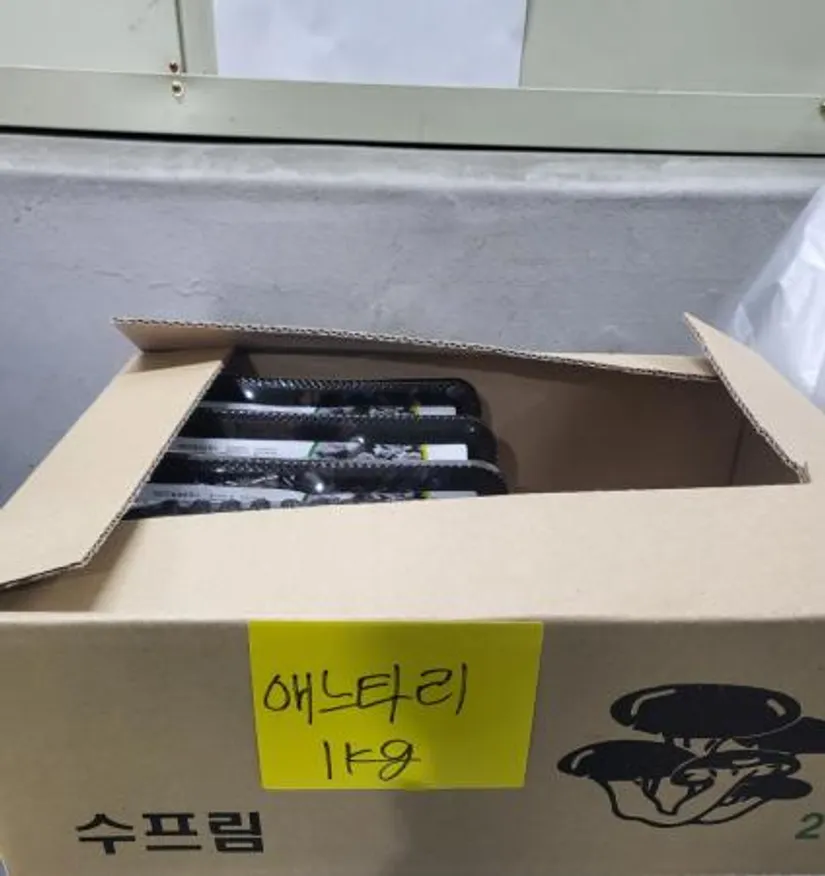 애느타리버섯,1Kg,상품,국산 이미지