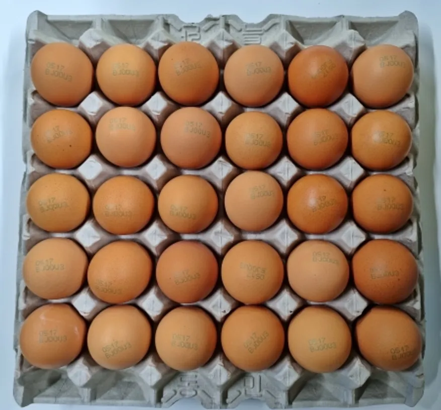 ⭐한정특가⭐특란,1.8Kg(60~68g*30EA),냉장,세척,국산, ★1판씩 개별포장 불가★ 이미지