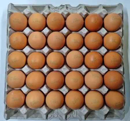 ⭐한정특가⭐특란,1.8Kg(60~68g*30EA),냉장,세척,국산, ★1판씩 개별포장 불가★ 이미지