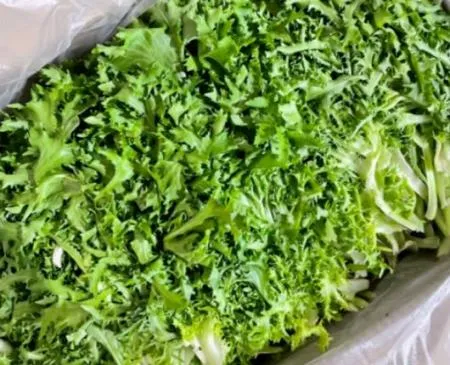 그린치커리,2Kg,상품,국산 이미지