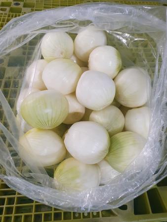 깐양파 (180g~200g, 5~6개) 1kg, 국산