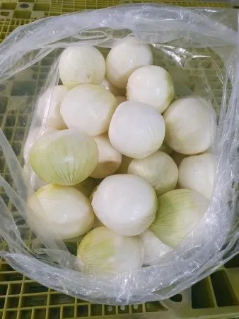 깐양파 (180g~200g, 5~6개) 1kg, 국산