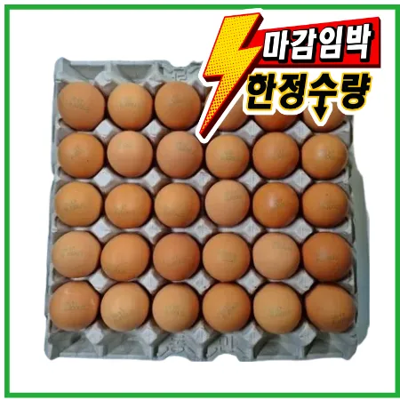 ⭐한정특가⭐무항생제계란(특란),1.8Kg(60~68g*30EA),냉장,국산, ★1판씩 개별포장 불가★