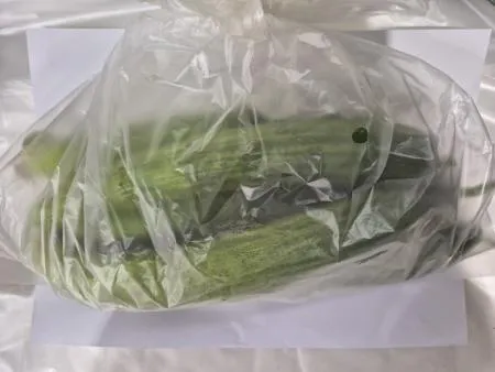 다다기오이,1Kg,상품,국산 이미지