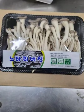 애느타리버섯,1Kg,상품,국산