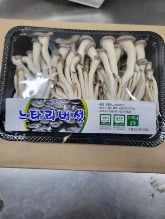 애느타리버섯,1Kg,상품,국산