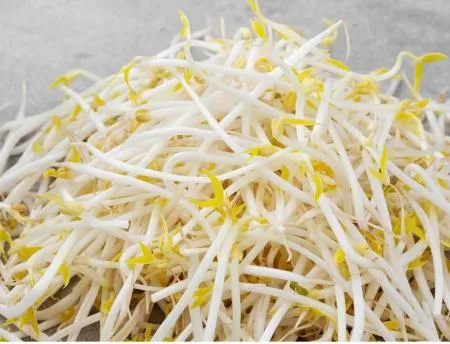 숙주,3.5kg,상품,냉장,수입 이미지