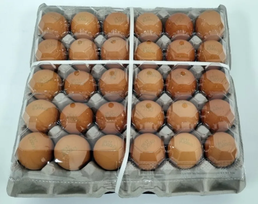 무항생제계란(대란),1.56Kg(52~60g*30EA),냉장,국산, ★1판씩 개별포장 불가★ 이미지