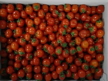 방울토마토,1kg,2번(중) 66~70개 내외,특품,실온,국산