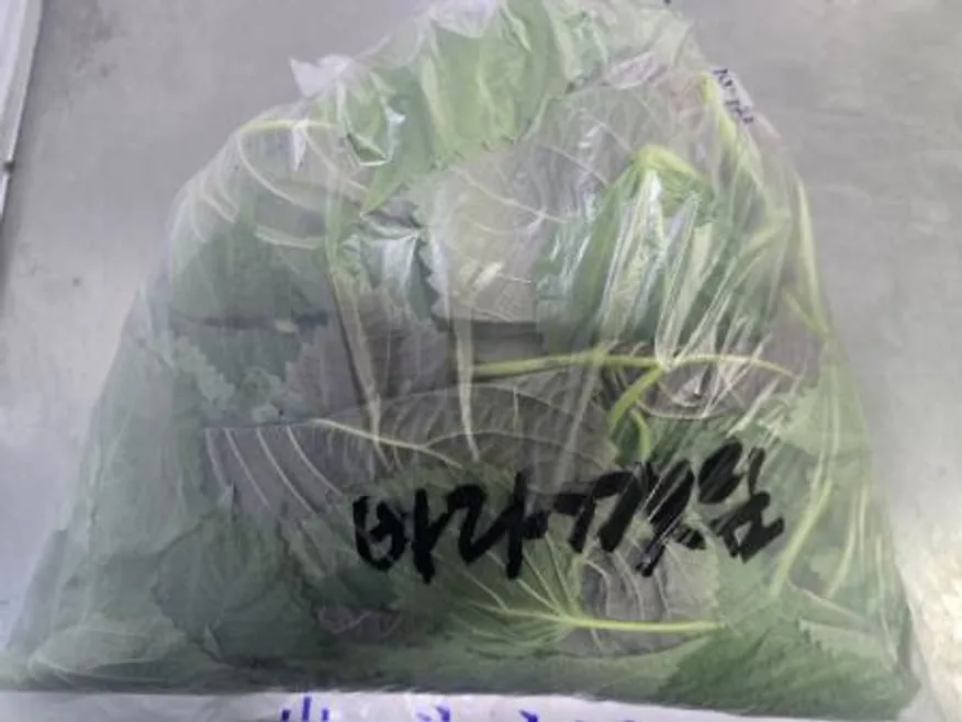 바라깻잎,1Kg,상품,국산 이미지