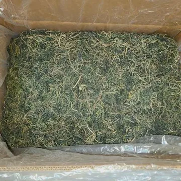 수입사 직송 건취나물 10kg 산나물 마른 말린 건 취나물 보름나물 벌크 업소용