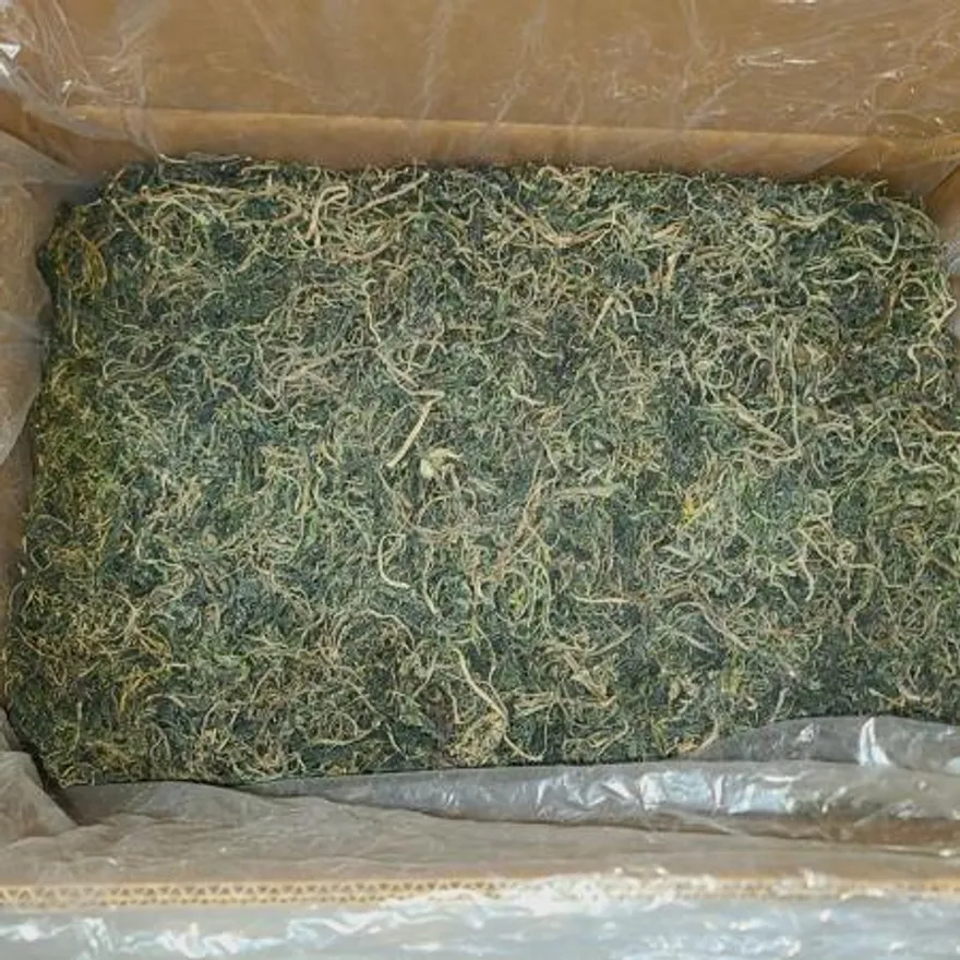 수입사 직송 건취나물 10kg 산나물 마른 말린 건 취나물 보름나물 벌크 업소용 이미지