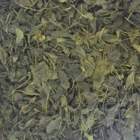 제주도 직송 자연건조 건취나물 10kg 산나물 마른 말린 건 취나물 보름나물 벌크 업소용