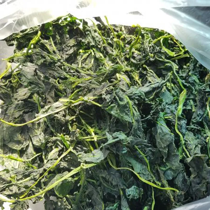 제주도 직송 건유채나물 10kg 건나물 말린 건 유채나물 하루나 국내산 업소용 벌크 이미지