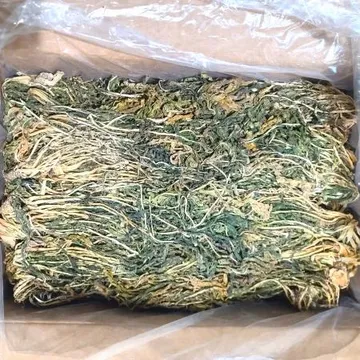 수입사 직송 건시래기 10kg 무청시래기말린 마른 햇 무우청 건시래기 보름 벌크 업소용