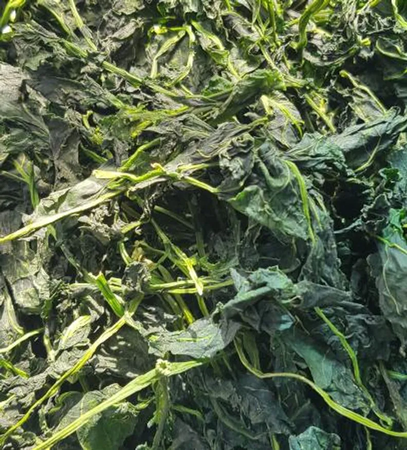 제주도 직송 건 브로콜리순 10kg 건브로콜리나물 건나물 말린나물 국내산 업소용 벌크 이미지
