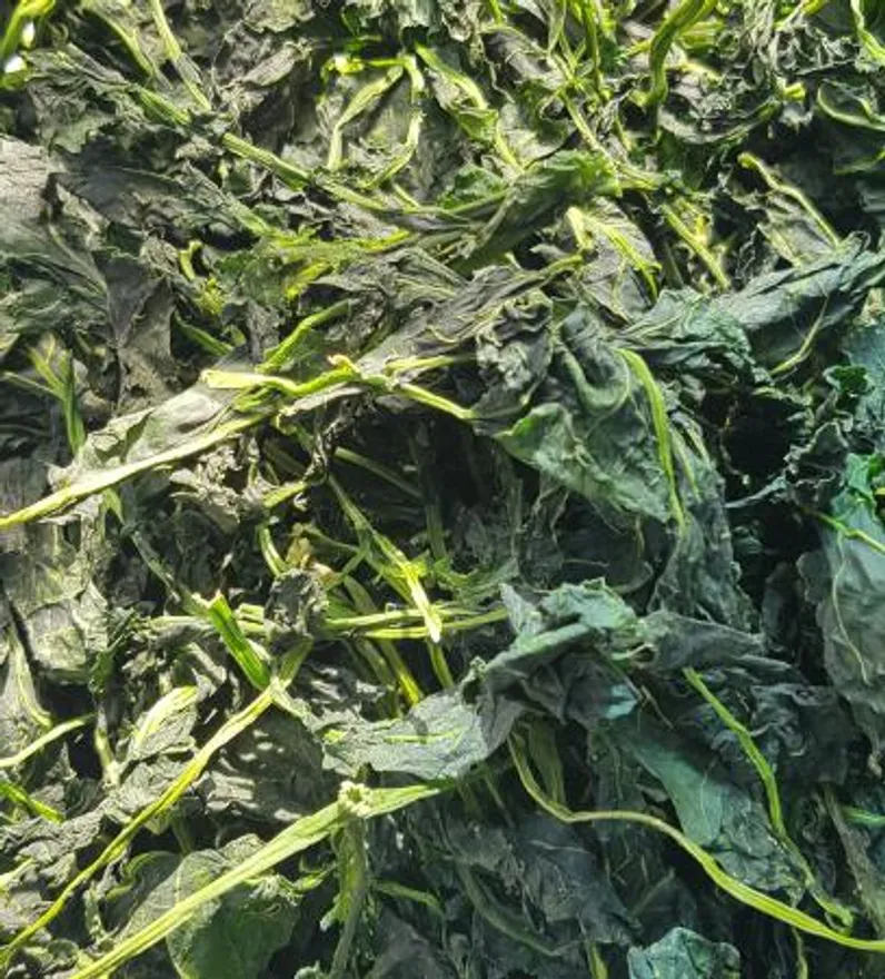 제주도 직송 건 브로콜리순 10kg 건브로콜리나물 건나물 말린나물 국내산 업소용 벌크 이미지