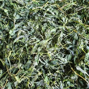 제주도 직송 건취나물 10kg 산나물 마른 말린 건 취나물 보름나물 벌크 업소용