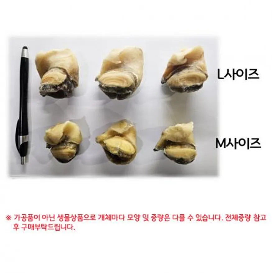 최상급 자숙 참소라살 벌크10kg M 사이즈 이미지