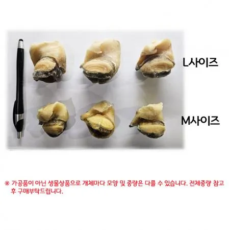 최상급 자숙 참소라살 벌크10kg M 사이즈  이미지