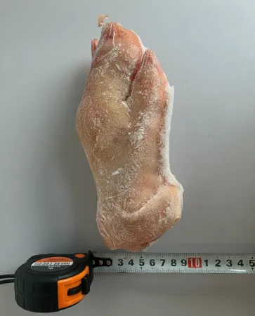 [냉동] 럭스 돈단족/미니족 원물 10KG 이미지