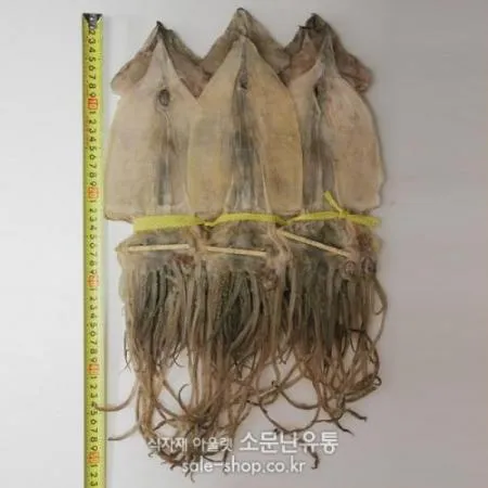 건오징어(1.5kg)20마리