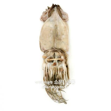 반건조오징어 1.7kg (10마리) 반건오징어 피데기 피대기