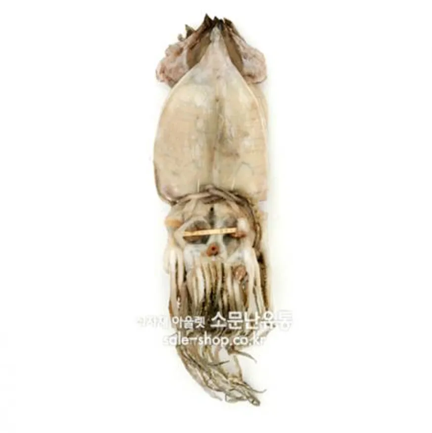 반건조오징어 1.7kg (10마리) 반건오징어 피데기 피대기 이미지