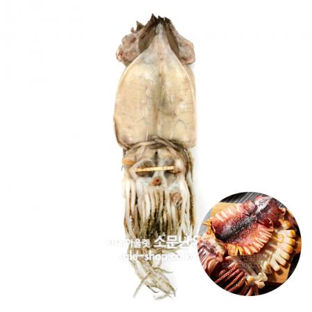 반건조오징어 1.5kg