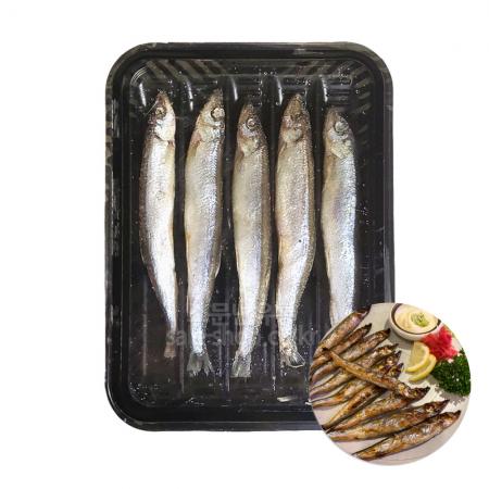 그레잇츠 열빙어 500g 특대형 시사모 냉동 알배기 시샤모