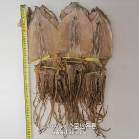 건오징어(2.0kg)20마리/