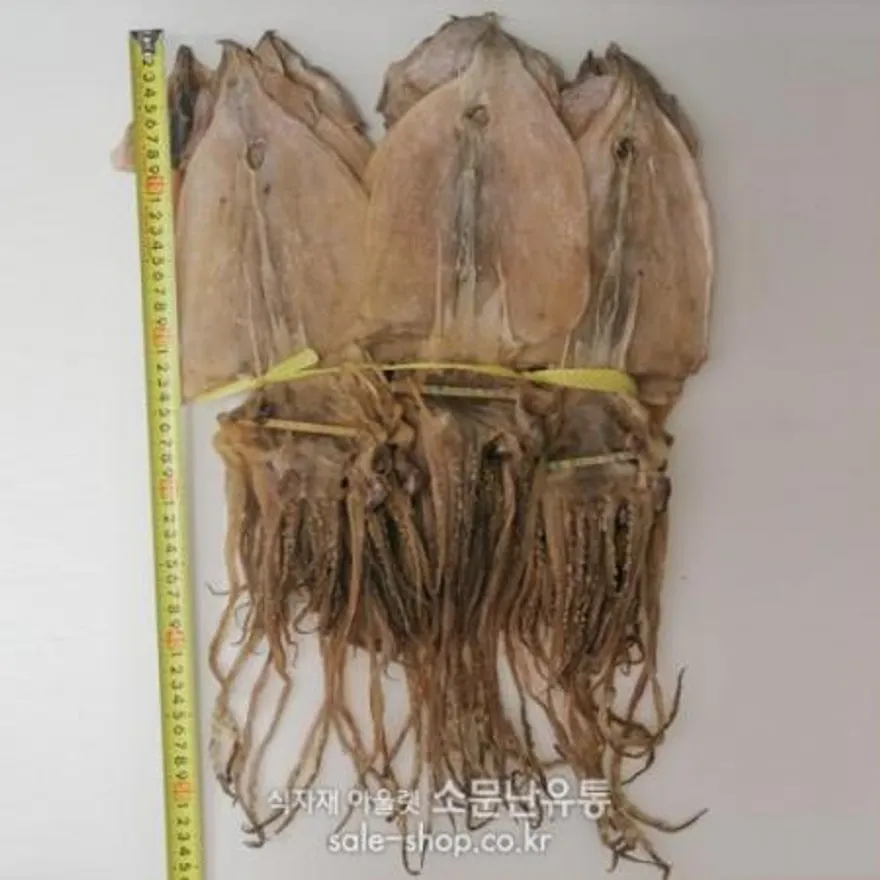 건오징어(2.0kg)20마리/ 이미지