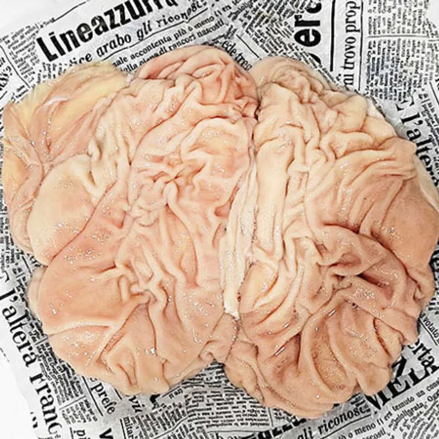 (신돈축산유통) 업소용 냉동 구이용 소막창(홍창) 10kg (연육안됨/생막창) 이미지