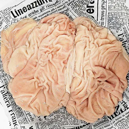 (신돈축산유통) 업소용 냉동 구이용 소막창(홍창) 10kg (연육안됨/생막창) 이미지