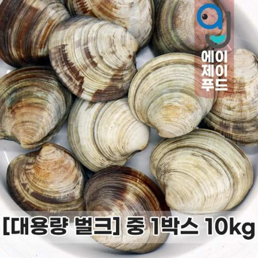 활백상합(생물) 중★10kg(중국) 이미지