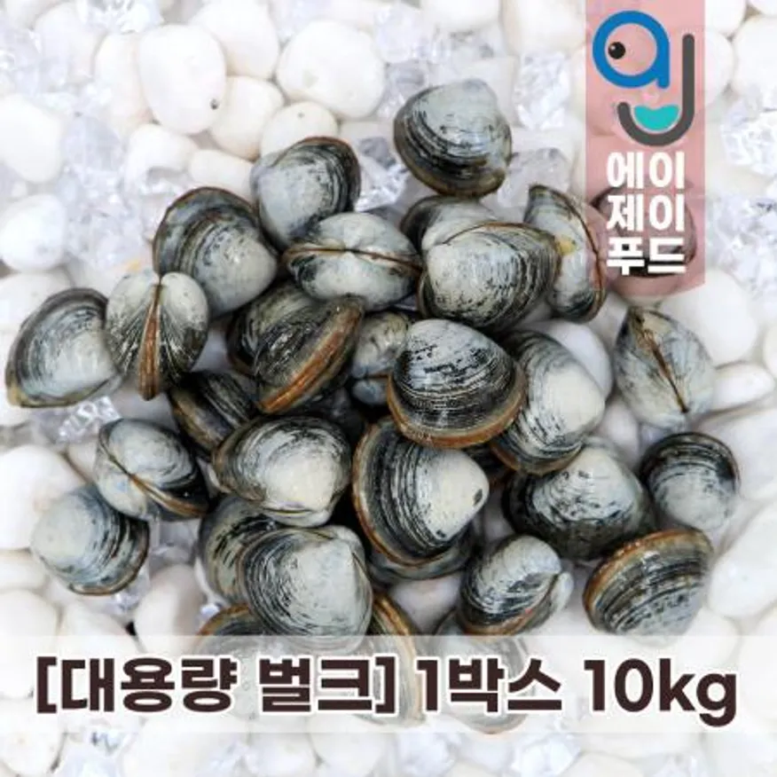 활동죽조개(생물) 중★10kg(국산) 이미지