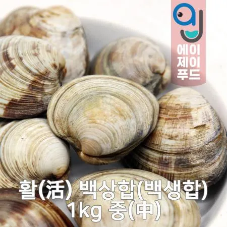 활백상합(생물) 중 1kg(중국)