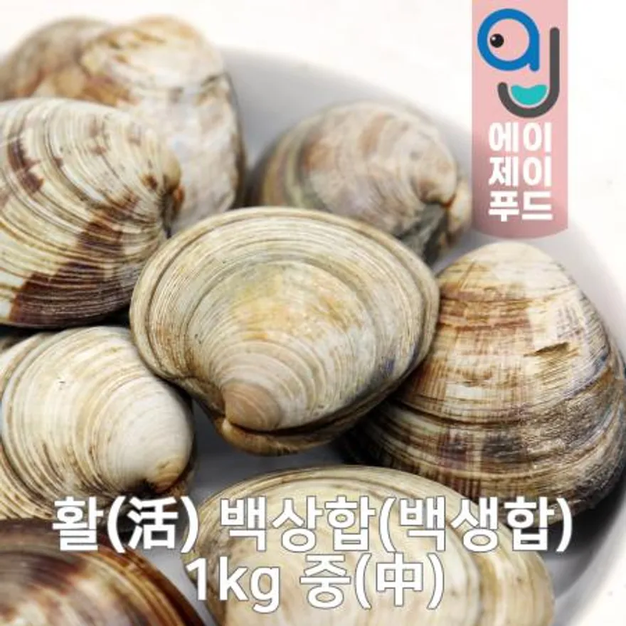 활백상합(생물) 중 1kg(중국) 이미지