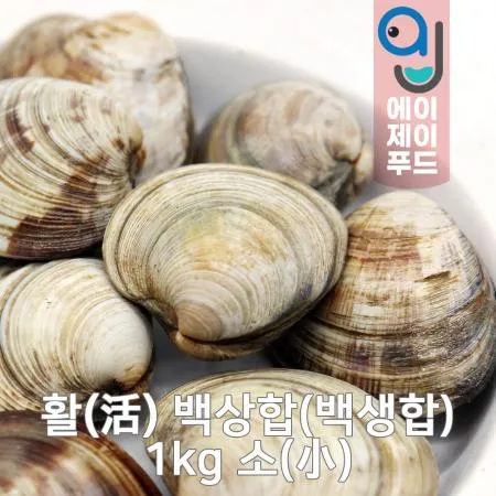 활백상합(생물) 소 1kg(중국)