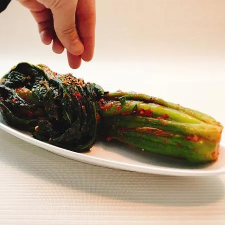 [장독 갓김치 5kg] 톡 쏘는 알싸함이 입 안 가득 HACCP