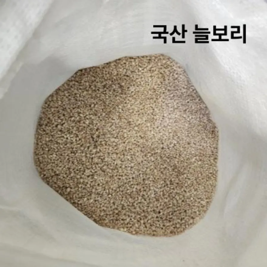 국산 늘보리 10kg 이미지