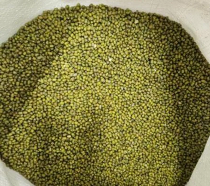 수입산 통녹두 10kg 이미지