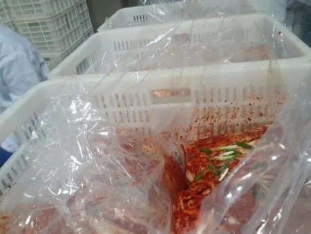 맛있는 청우 쪽파 김치 10kg 이미지