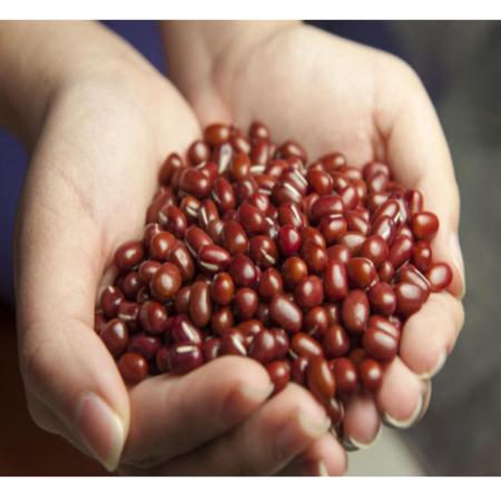 수입산 적두 팥 10kg