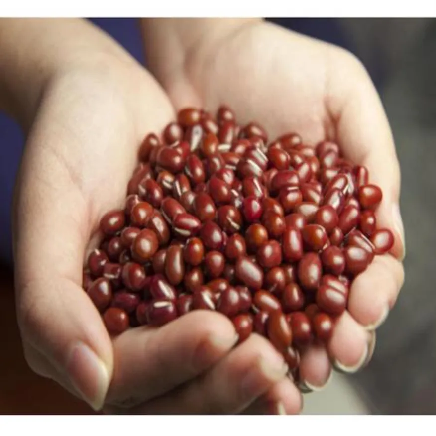 수입산 적두 팥 10kg 이미지