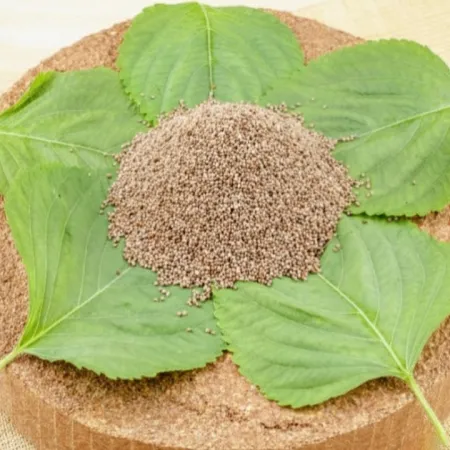 대용량 수입산 통들깨 10kg