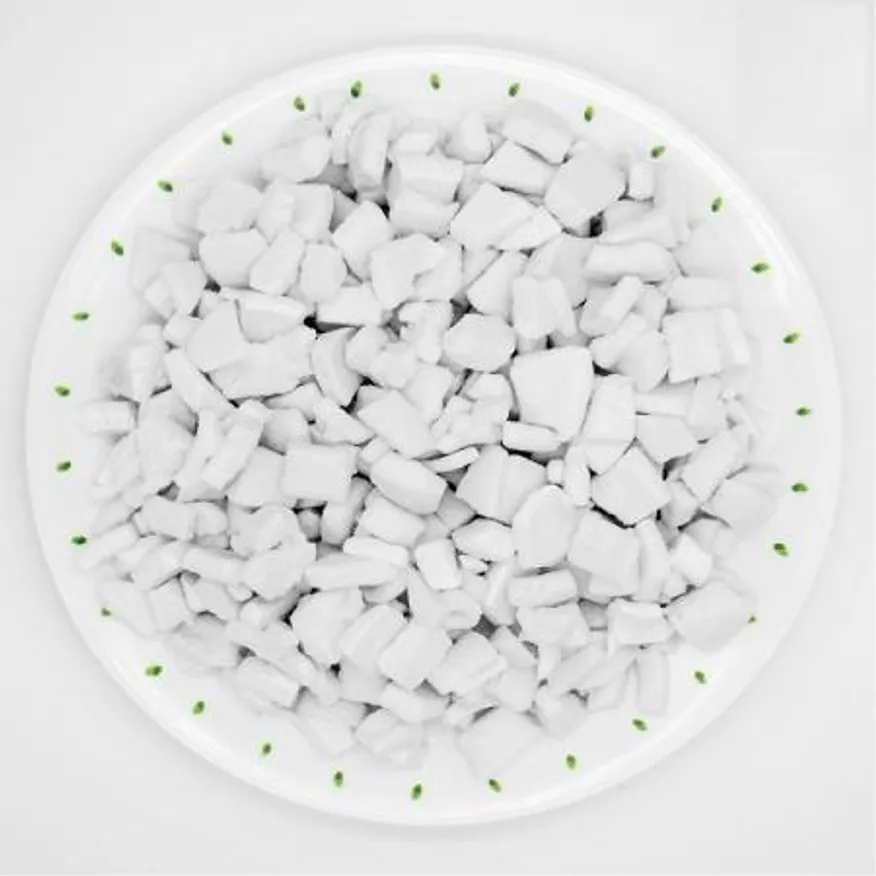 냉동 코코넛과육 100% 코코넛미트 1kg 이미지