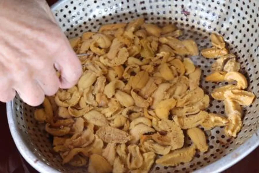 포항 구룡포 당일 조업 당일 출고 성게알 이미지